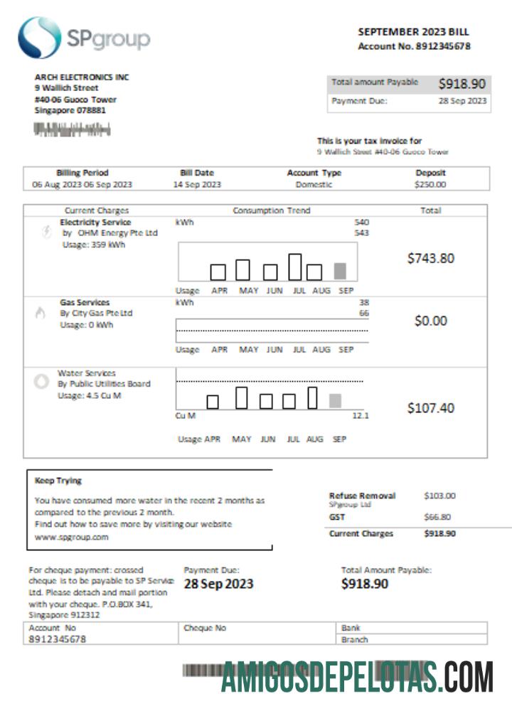 SCR da conta comercial de serviços públicos do Grupo SP, página 1 amostra